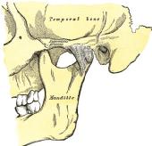 Foto 1 de Curso de Clnica Osteoptica en ATM en Vipassana