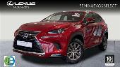 Foto 1 de Lexus Nx 300 300h Business Navigation 2wd